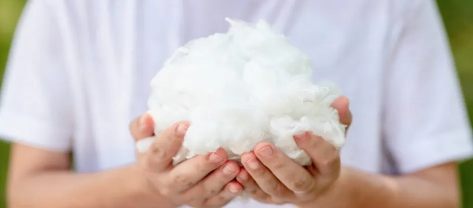 Apakah Gentian Ruji Poliester Denier Halus?