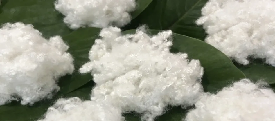 Adakah Poliester Gentian Sintetik? Sesuatu yang Anda Perlu Tahu