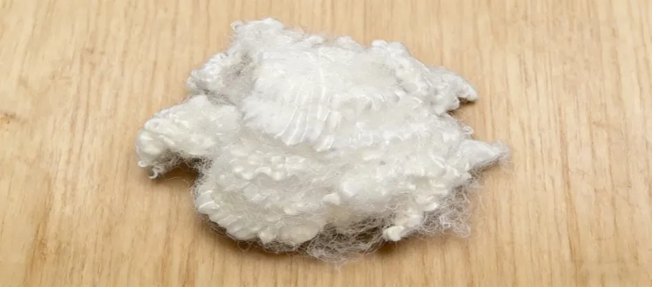 Apakah Gentian Konjugat Dara?